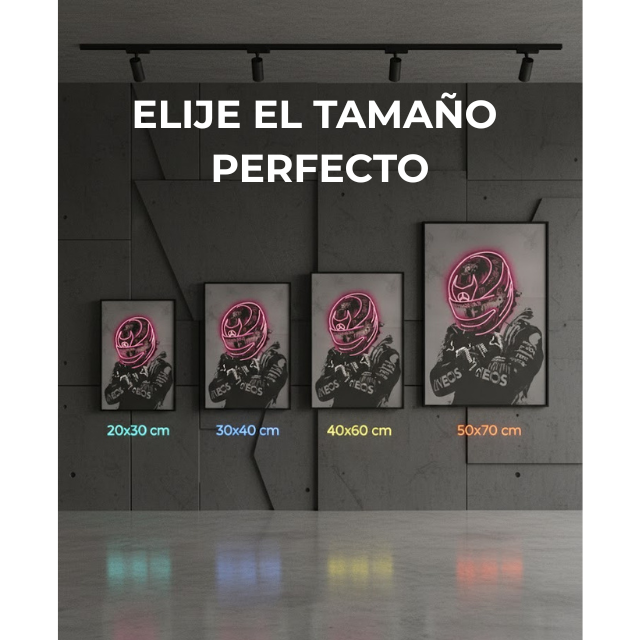 Pósters de Piloto F1