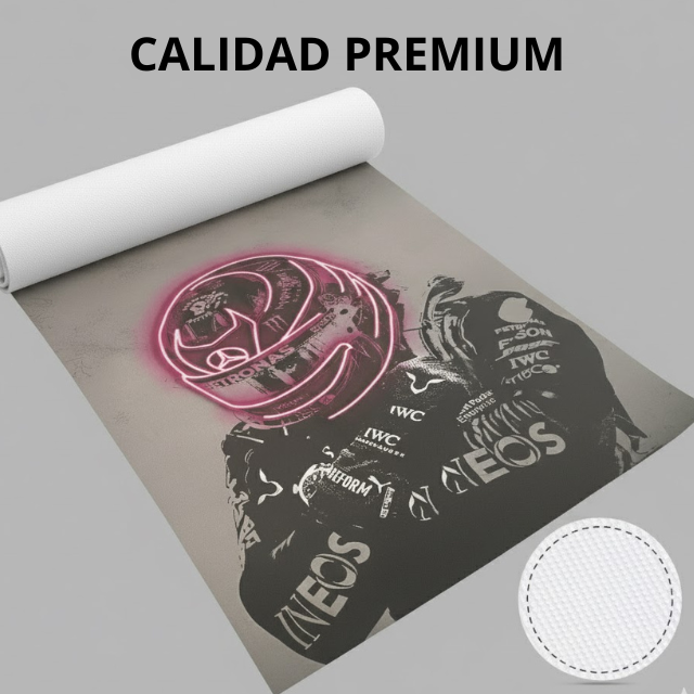 Pósters de Piloto F1