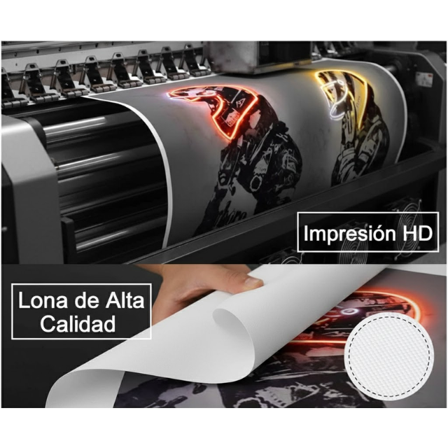 Pósters de Piloto F1