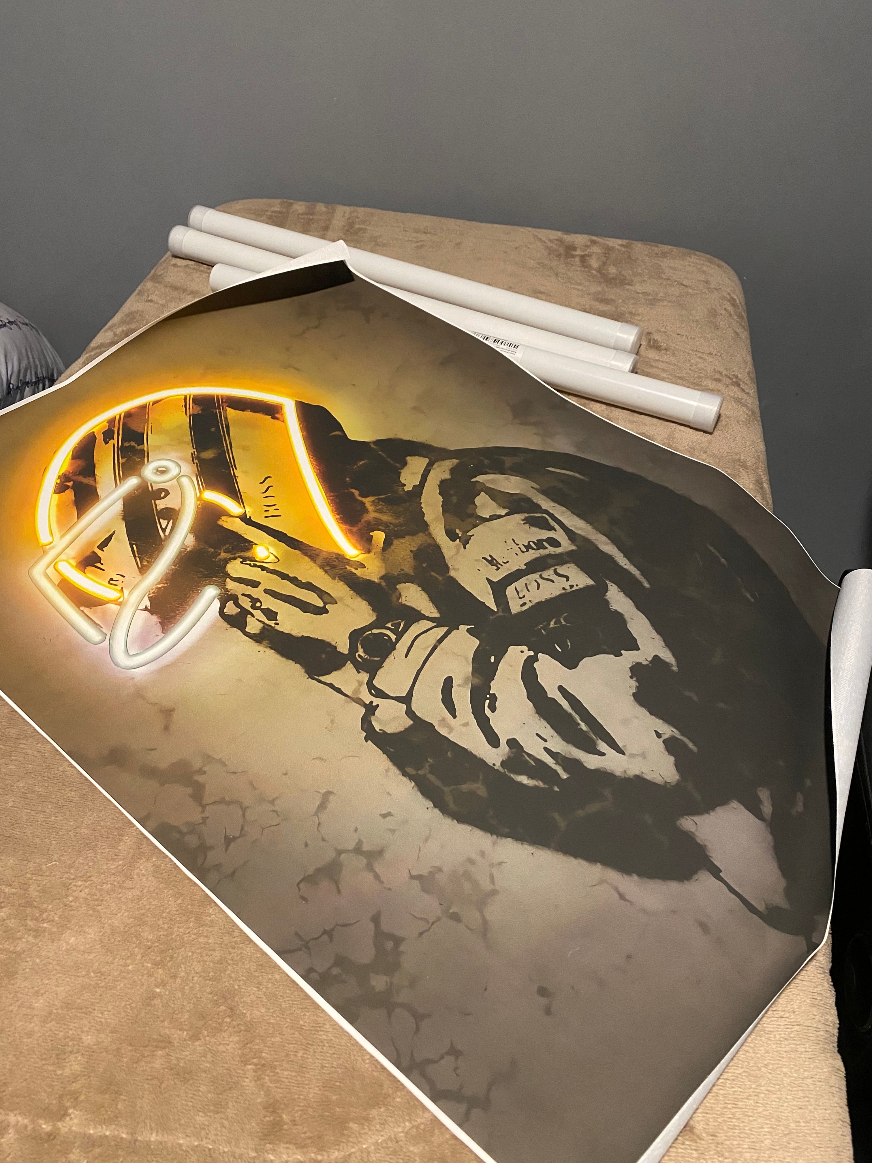 Pósters de Piloto F1